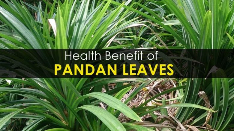 pandan-leaves-benefits